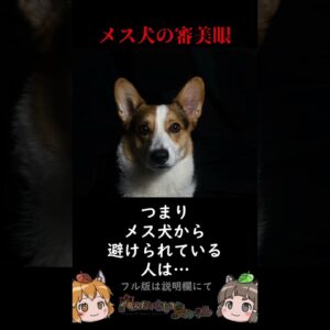 近年解明されたばかりの犬の秘密3選 #shorts