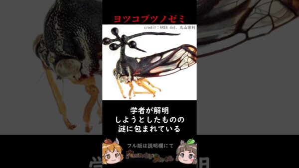 進化では説明がつかない衝撃の生き物3選 #shorts