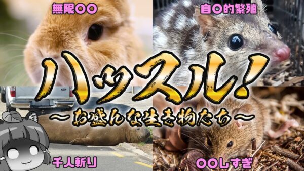 【ハッスル】お盛ん過ぎる！性欲旺盛なヤバい生き物6選