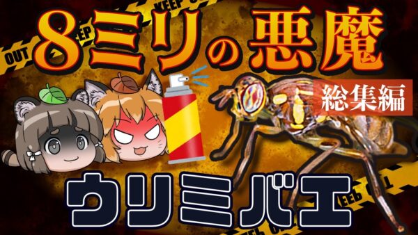 【総集編】8ミリの悪魔！ウリミバエ根絶70年の物語～人類VSハエ～
