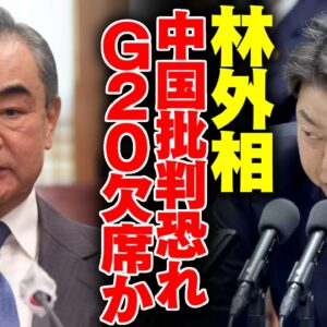 【ゆっくり解説】林芳正、中国批判から逃げた？G20外相会談から逃亡【3分ニュース】
