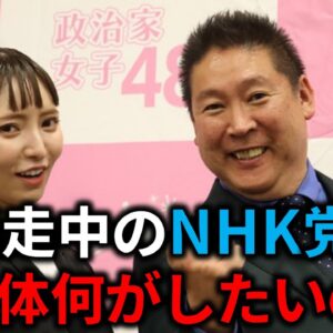 【ゆっくり解説】失敗確定？NHK党がまた名前を変えた理由と迷走してる件について