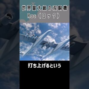まるで双子！横幅が広すぎる飛行機「ROC」 #shorts