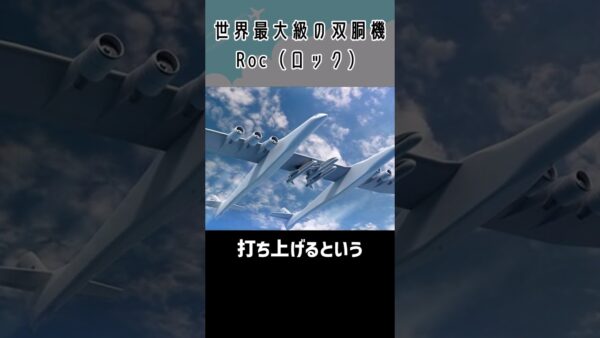 まるで双子！横幅が広すぎる飛行機「ROC」 #shorts