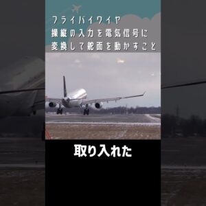 【仁義なき戦い】 ヨーク（ボーイング）VSサイドスティック（エアバス）#shorts