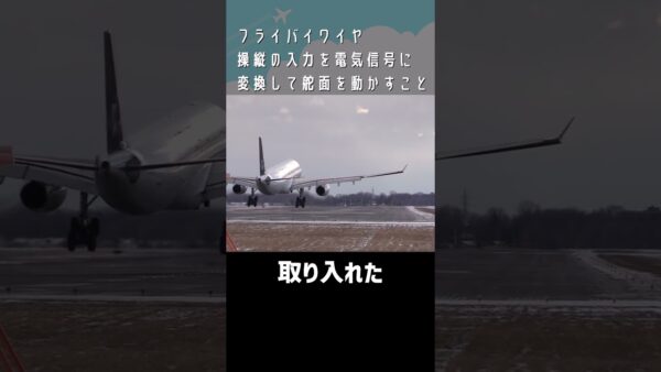 【仁義なき戦い】 ヨーク（ボーイング）VSサイドスティック（エアバス）#shorts