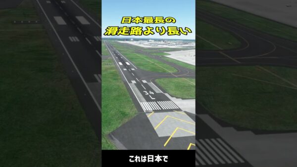 世界一高いところにある空港 #shorts