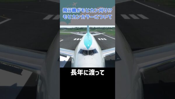 ヒャッハー！「全日空のモヒカンカラー」 #shorts