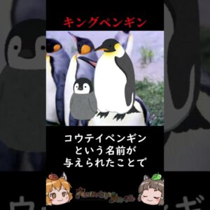 悲しいキングペンギンの意外すぎる下剋上 #shorts