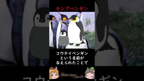 悲しいキングペンギンの意外すぎる下剋上 #shorts