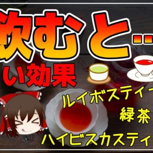 【ゆっくり解説】ルイボスティーを毎日飲むと…緑茶にハイビスカスティー健康効果まとめ！総集編【ゆっくりグルメ紀行】