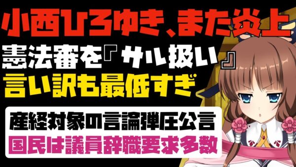 【ゆっくり解説】小西ひろゆき、また大炎上！憲法審査会を「サル扱い」したあとの言い訳がヤバすぎる【立憲民主党必要ある？】