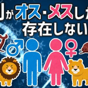 【疑問】性別がオスとメスしかない理由｜男女に分かれたのはなぜ？