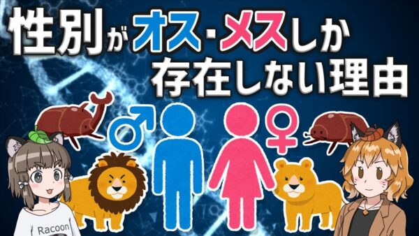【疑問】性別がオスとメスしかない理由｜男女に分かれたのはなぜ？