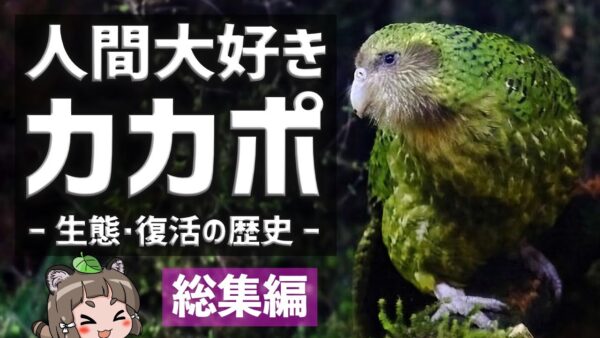 【総集編】人間大好き！カカポのすべて｜悲しすぎる生態・復活の歴史まとめ