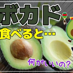 【ゆっくり解説】アボカドを毎日食べると…栄養の宝庫と言われる理由！食べる美容液で老化を止める