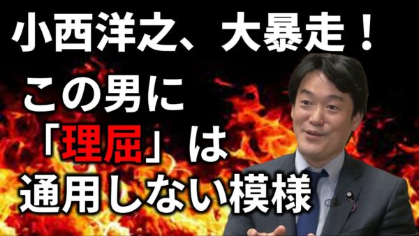 【ゆっくり解説】小西ひろゆき、本当に何を言っているのか理解不能な件