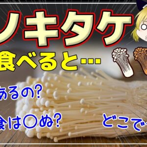 【ゆっくり解説】エノキタケを毎日食べると…栄養なさそうだけど？ガン予防できる！知らなすぎるえのきの世界