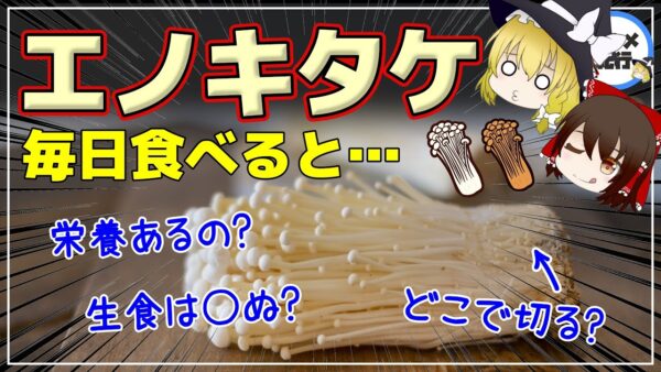 【ゆっくり解説】エノキタケを毎日食べると…栄養なさそうだけど？ガン予防できる！知らなすぎるえのきの世界