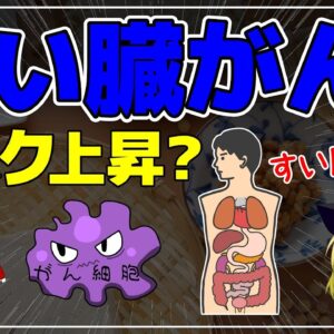 【ゆっくり解説】すい臓がんのリスクが上昇？意外すぎる食べ物！リスクが下がった飲み物
