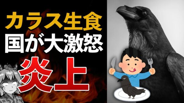 【炎上】カラスの生食を新聞社が紹介！？絶対ヤバいって！！