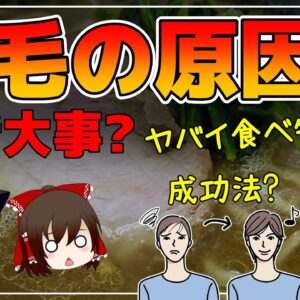【ゆっくり解説】薄毛の原因！ヤバイ食べ物！腸活も大事だった？まとめ！総集編【ゆっくりグルメ紀行】