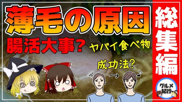 【ゆっくり解説】薄毛の原因！ヤバイ食べ物！腸活も大事だった？まとめ！総集編【ゆっくりグルメ紀行】