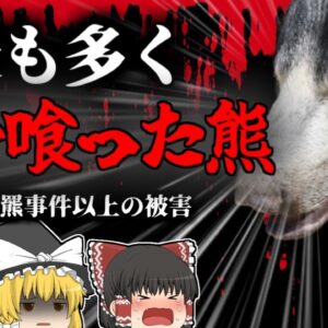 【1957年】''史上最悪の熊害''12名が喰われた『マイソールナマケグマ事件』【ゆっくり解説】