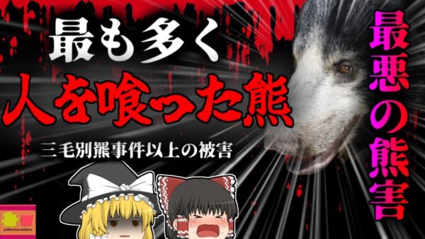【1957年】''史上最悪の熊害''12名が喰われた『マイソールナマケグマ事件』【ゆっくり解説】