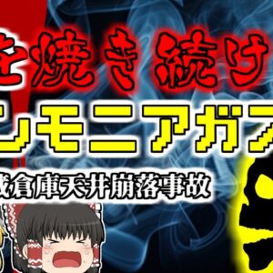 【1999年】突然崩落した天井 噴出すアンモニアを顔に浴び続けた作業員…『冷蔵倉庫天井崩落事故』【ゆっくり解説】