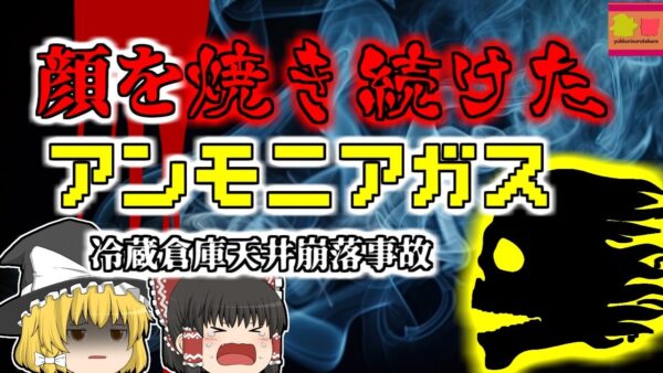 【1999年】突然崩落した天井 噴出すアンモニアを顔に浴び続けた作業員…『冷蔵倉庫天井崩落事故』【ゆっくり解説】
