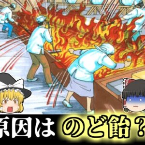 【2005年】頭や顔面を焼かれた作業員…その原因は''のど飴''?!　『プロポリスのど飴発火事故』【ゆっくり解説】