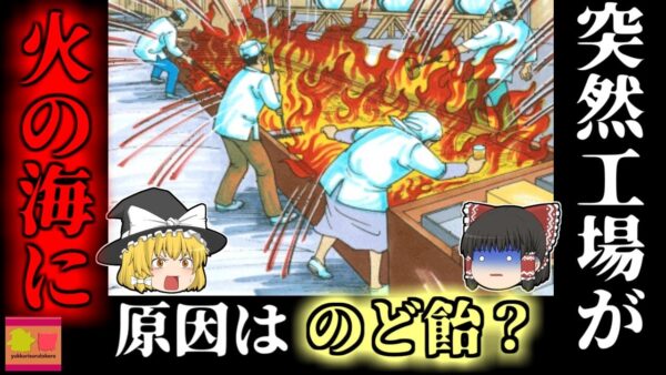 【2005年】頭や顔面を焼かれた作業員…その原因は''のど飴''?!　『プロポリスのど飴発火事故』【ゆっくり解説】