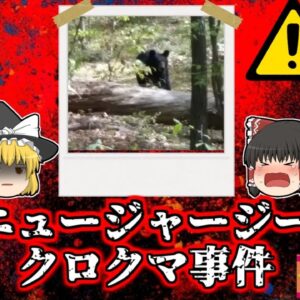 【2014年】熊に食べられる直前に撮られた写真…発見された大学生は森で何をしていた？『ニュージャージー州クロクマ襲撃事件』【ゆっくり解説】