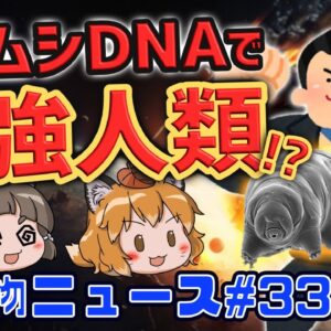 【最強化】クマムシ遺伝子を人間に注入！？イルカ30頭集団漂着の謎…マンモス肉のミートボール完成！【生き物ニュース#33】
