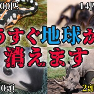 【滅亡】もうすぐ地球から消える…絶滅寸前の生き物8選