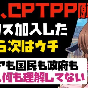 【海外の反応】韓国、また失笑される！イギリスのCPTPP加入に合わせて自国も入れると勘違い【ゆっくり解説】