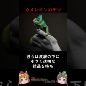 カメレオンの擬態能力は半分デマ #shorts