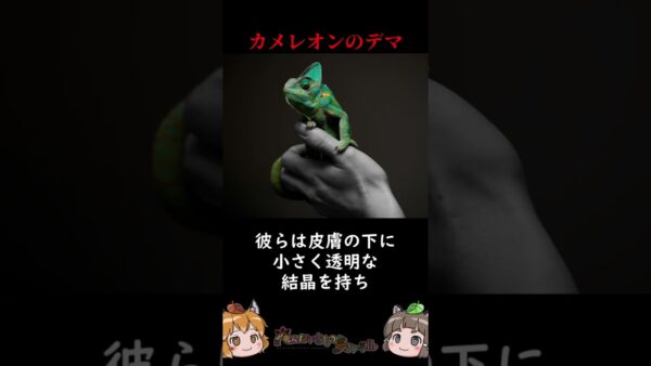 カメレオンの擬態能力は半分デマ #shorts