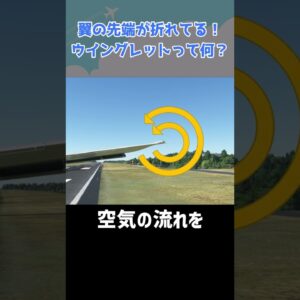 翼の先端が折れ曲がっているのは何のため？ #shorts