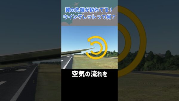 翼の先端が折れ曲がっているのは何のため？ #shorts