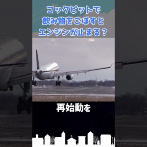 コックピットで飲み物をこぼした結果…エンジンが止まった #shorts