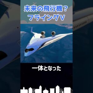 こんな形の飛行機が空を飛ぶってマ？？ #shorts