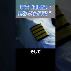 機長と副操縦士はこうやって見分けろ！ #shorts