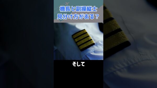機長と副操縦士はこうやって見分けろ！ #shorts