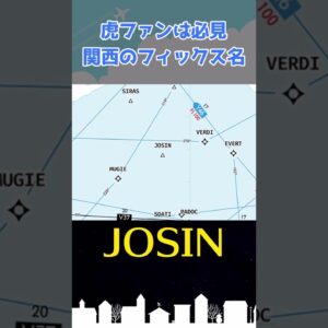 猛虎魂を感じる…変わったフィックス名について #shorts