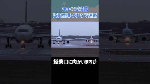 成田空港はパイロットが最も気を遣う空港の一つです #shorts