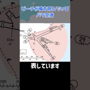 飛行機が干潟で離着陸するヤバすぎる空港「バラ空港」 #shorts