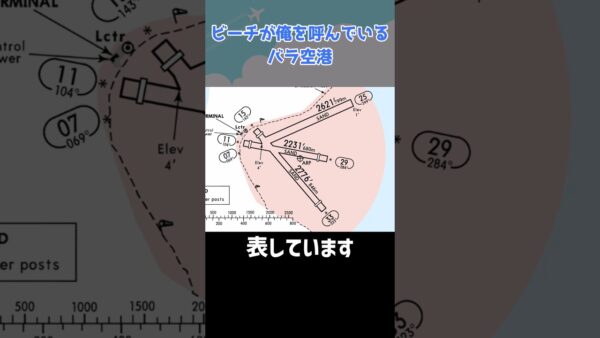 飛行機が干潟で離着陸するヤバすぎる空港「バラ空港」 #shorts