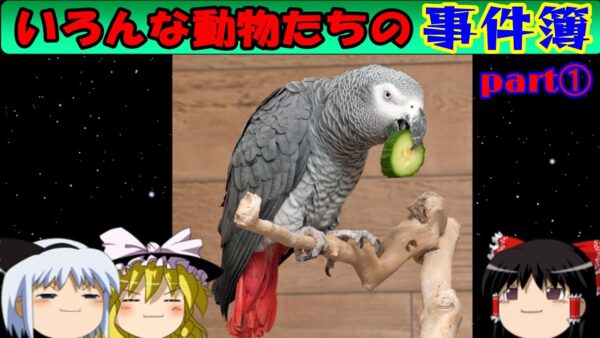【おもしろゆっくり】いろんな動物事件簿！その①